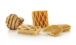 Koekjes